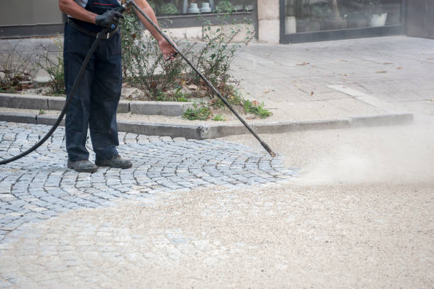 Best Dumpster Area Cleaning  in Big Lake, WA